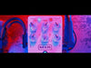 MXR M309 Joshua Ambient Echo - Fair Deal Music