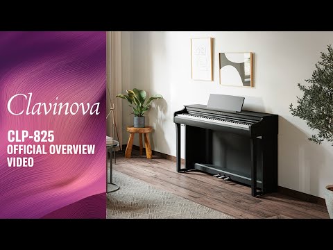 Yamaha CLP-825PE Clavinova Digital Polished Ebony Bundle - Fair Deal Music