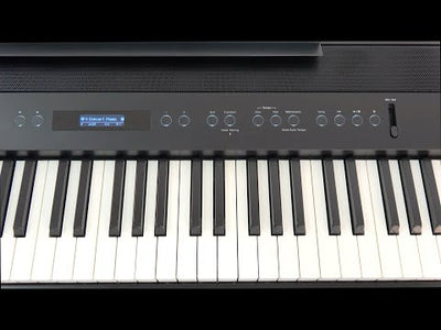 Roland FP-90X-BK Premium Piano in Black with Stand and Pedal Unit (Showroom Model) - Fair Deal Music