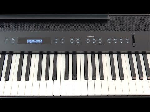 Roland FP-90X-BK Premium Piano in Black with Stand and Pedal Unit (Showroom Model) - Fair Deal Music
