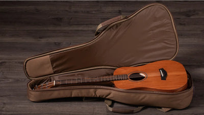 Taylor Baby Mahogany BT2 3/4 Size Acoustic Guitar with Gig Bag - Fair Deal Music
