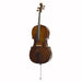 Stentor Student I Cello Outfit with Case & Bow - Fair Deal Music