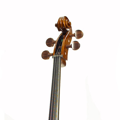 Stentor Student I Cello Outfit with Case & Bow - Fair Deal Music
