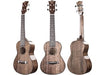 Snail RT-C Stained Solid Mahogany Gloss Concert Ukulele - Fair Deal Music