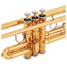 Yamaha YTR-3335 Student B♭ Trumpet - Gold Lacquer - Fair Deal Music