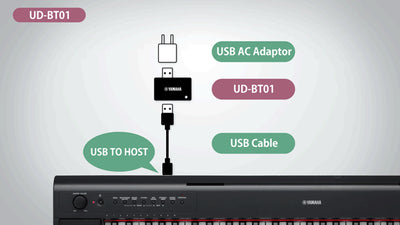 Yamaha UD-BT01 Bluetooth Wireless USB Adaptor - Fair Deal Music