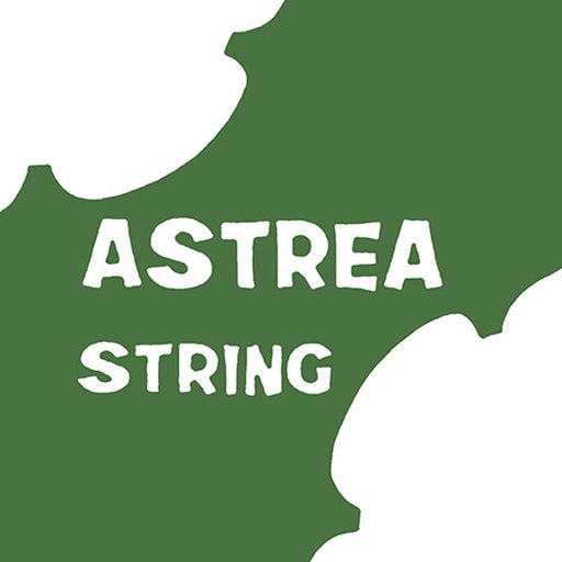 Astrea Violin Strings 3/4 to 4/4 Size (Set of 4) - Fair Deal Music