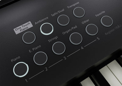 Roland FP-60X-BK Portable Digital Piano Black Bundle - Fair Deal Music
