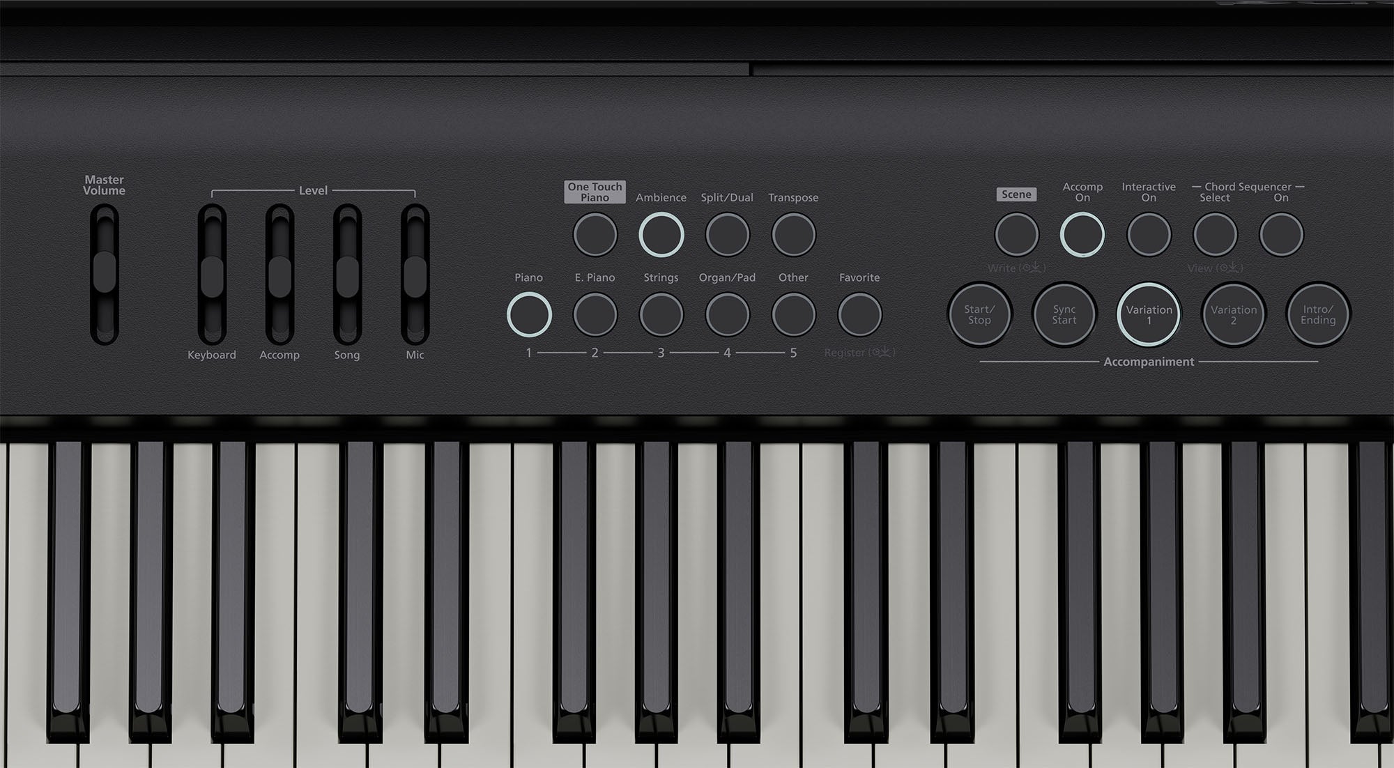 Roland FP-E50-BK Portable Piano with Stand and Pedal Unit - Fair Deal Music