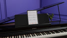 Roland GP-3-PE Compact Digital Grand Piano Polished Ebony - Fair Deal Music