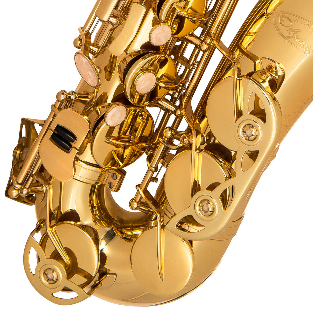 Odyssey OAS130 Debut E♭ Alto Saxophone Outfit (Display Model) - Fair Deal Music