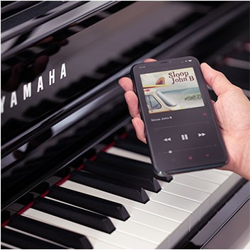 Yamaha CLP-875R Clavinova Digital Piano Dark Rosewood - Fair Deal Music