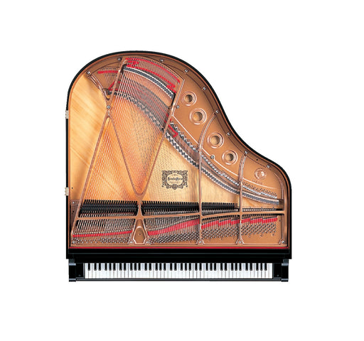 Yamaha DGB1K Disklavier™ ENSPIRE ST Grand Piano in Polished Ebony - Fair Deal Music