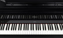 Roland GP-9-PE Digital Grand Piano Polished Ebony - Fair Deal Music