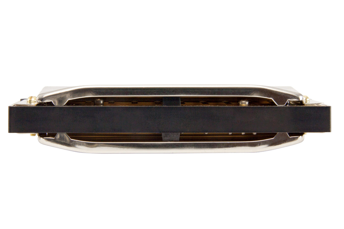 Hohner Special 20 Harmonica in E – Diatonic Harmonica - Fair Deal Music