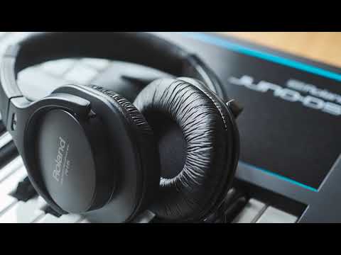 Roland RH-5 Headphones Black Provided by Fair Deal Music