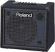 Roland KC-200 Keyboard Combo Amplifier 100 Watts (Display Model) - Fair Deal Music