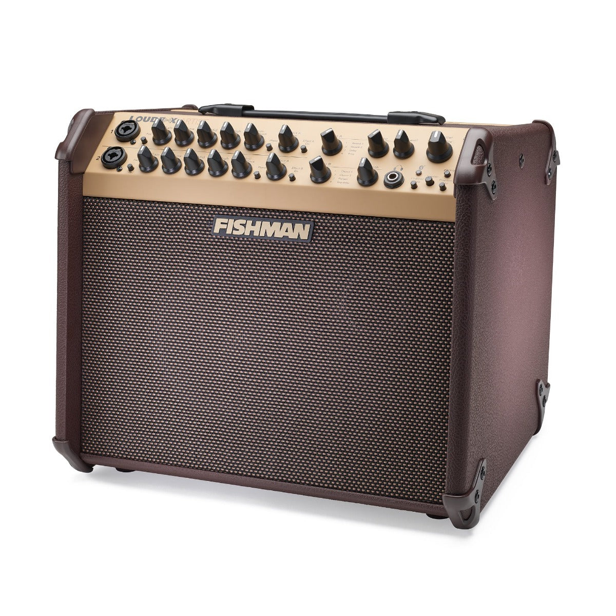 Fishman Loudbox Artist Bluetooth Acoustic Amplifier - Fair Deal Music