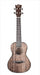 Snail RT-C Stained Solid Mahogany Gloss Concert Ukulele - Fair Deal Music