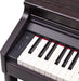 Roland RP701-DR Digital Piano in Dark Rosewood - Fair Deal Music