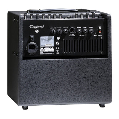Tanglewood T6 Acoustic Amp - Fair Deal Music