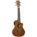 Tanglewood TWT 12E Ukulele - Fair Deal Music